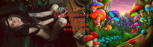а пвп мука Осташков