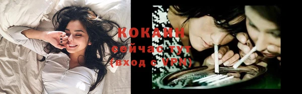 гашик Протвино