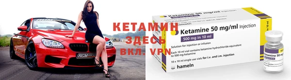 шишки Дмитров
