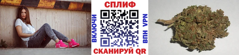 Конопля Bruce Banner Рошаль